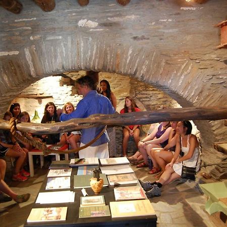 Cyclades Olive Museum'S Guest House Pitrofos Esterno foto